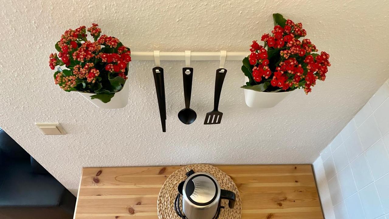 Ferienapartment Casa Heideblick Mit Sonnenterrasse & Garten Radeberg